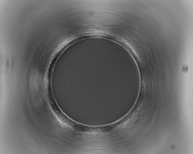 X0000099500674200805221401