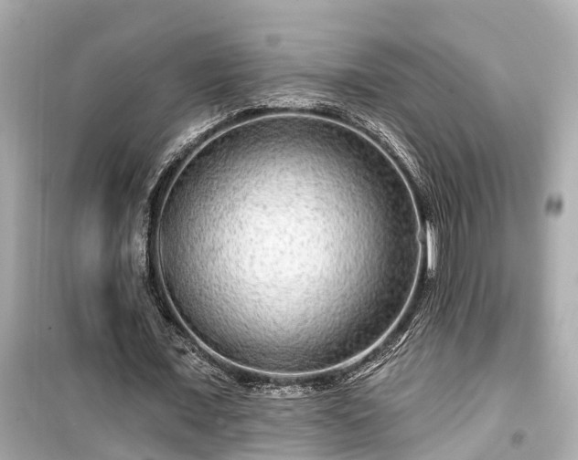 X0000099500675200805221401