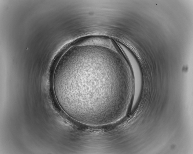 X0000099500676200805221401