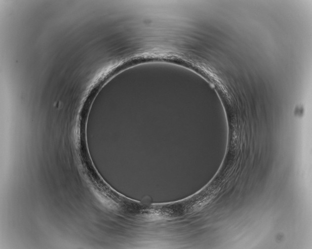 X0000099500678200805221401