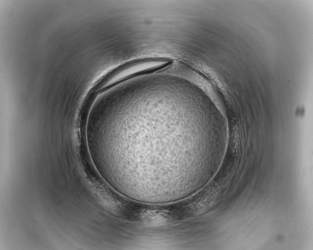 X0000099500680200805221401