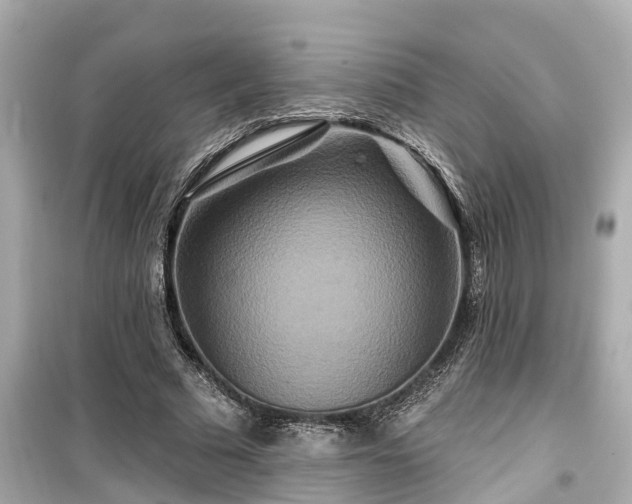 X0000099500681200805221401