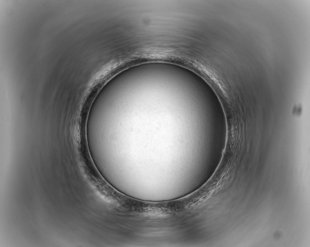 X0000099500682200805221401