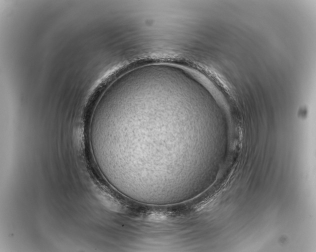 X0000099500684200805221401