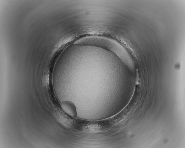 X0000099500685200805221401