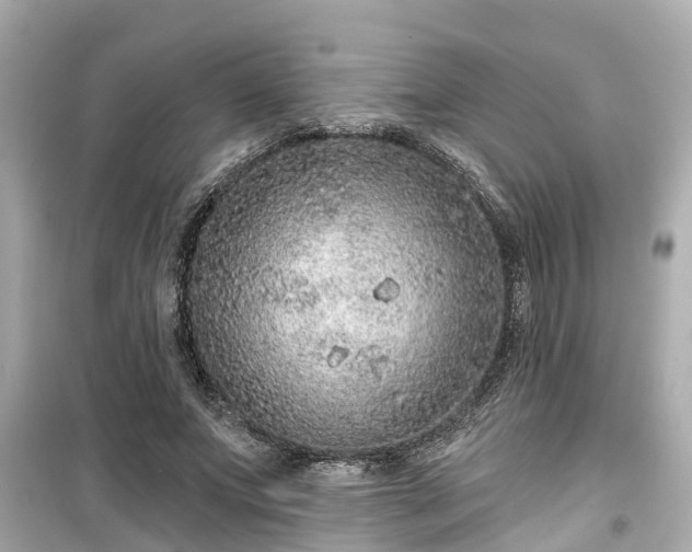 X0000099500687200805221401