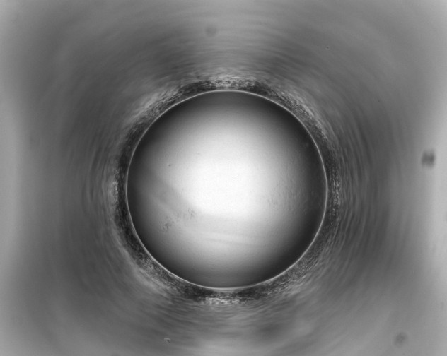 X0000099500690200805221401