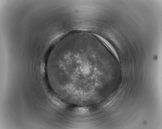 X0000099500692200805221401