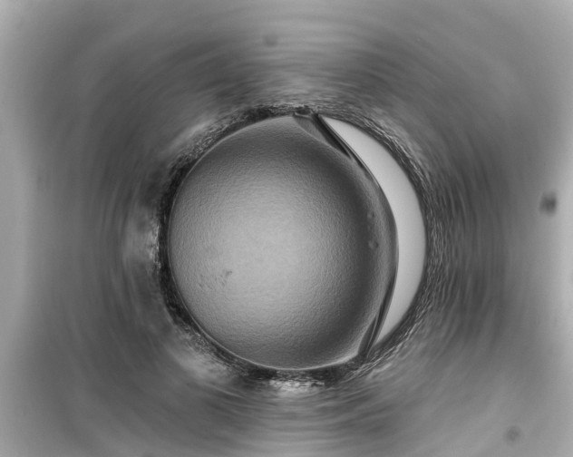 X0000099500693200805221401