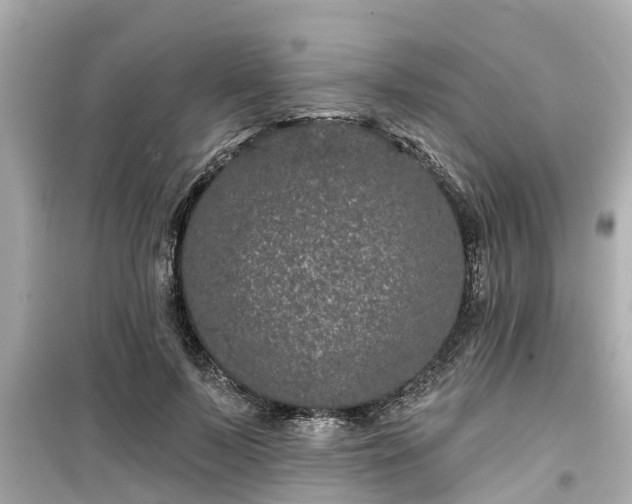 X0000099500695200805221401