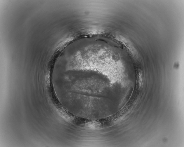 X0000099500696200805221401