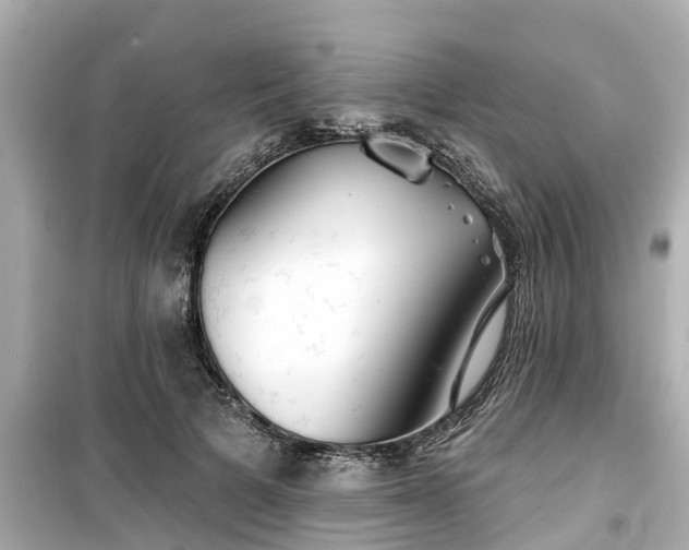 X0000099500697200805221401