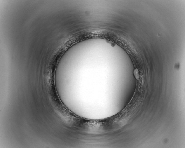 X0000099500698200805221401