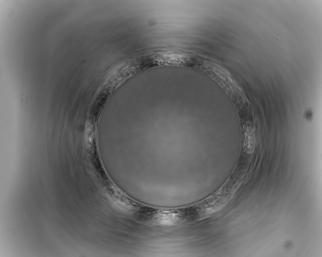 X0000099500701200805221401