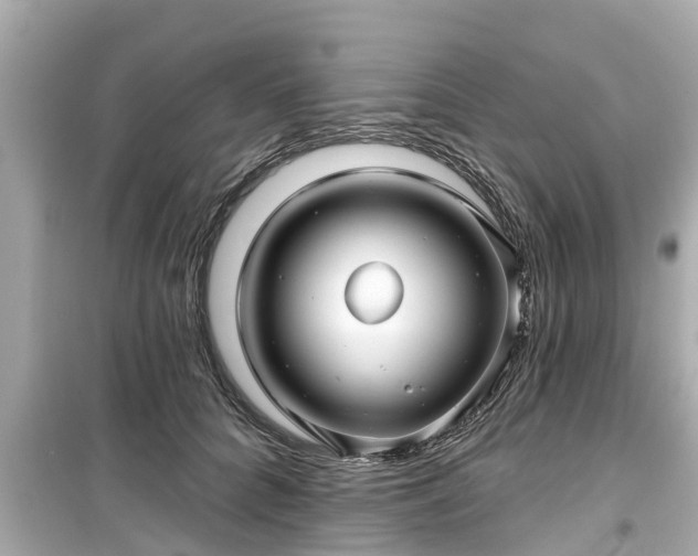 X0000099500704200805221401