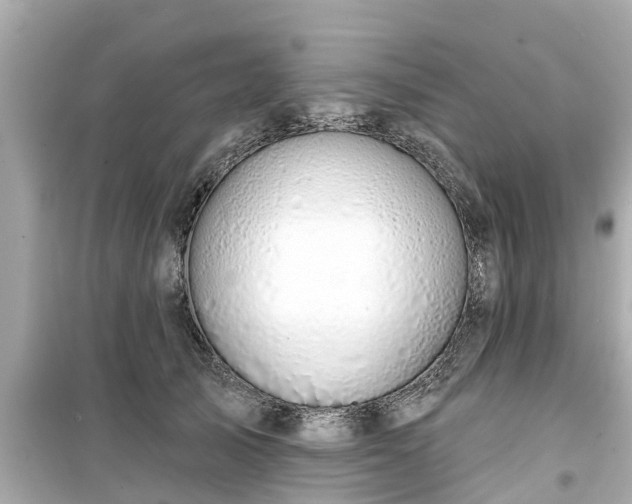 X0000099500705200805221401