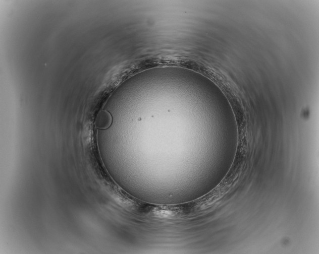 X0000099500706200805221401