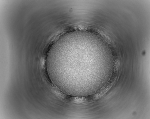 X0000099500709200805221401