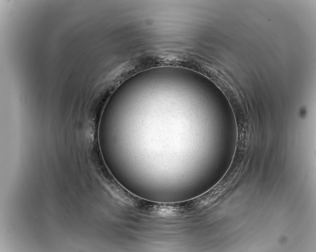 X0000099500710200805221401