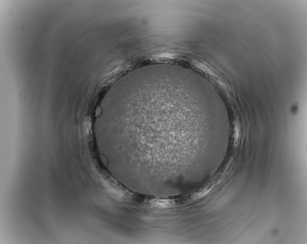 X0000099500711200805221401