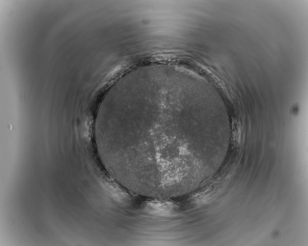 X0000099500712200805221401