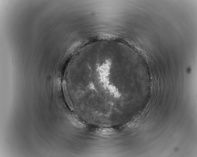 X0000099500716200805221401