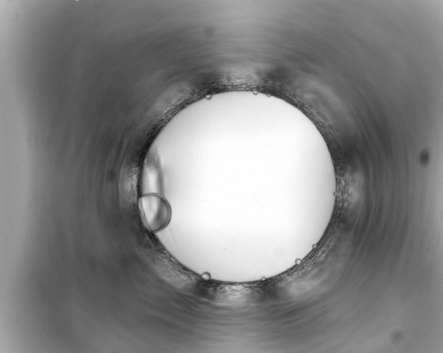 X0000099500717200805221401
