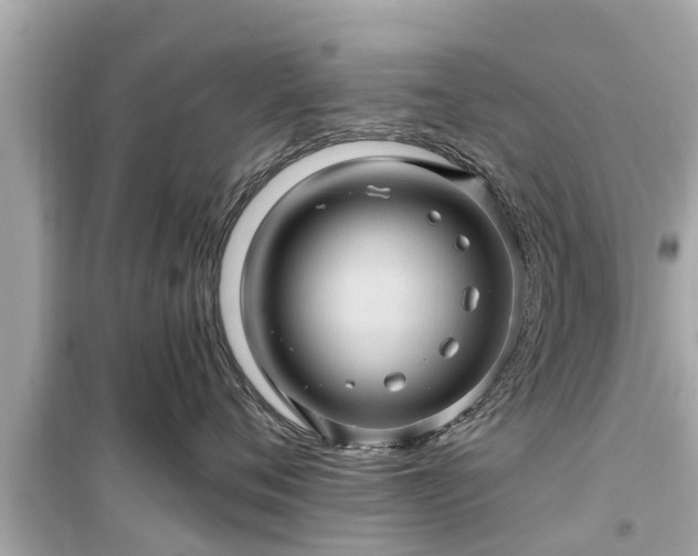 X0000099500720200805221400