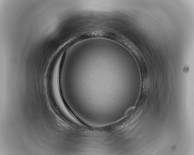 X0000099500722200805221400