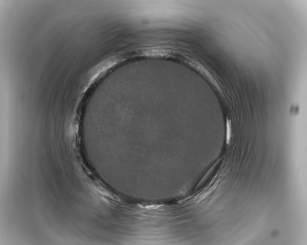X0000099500723200805221400