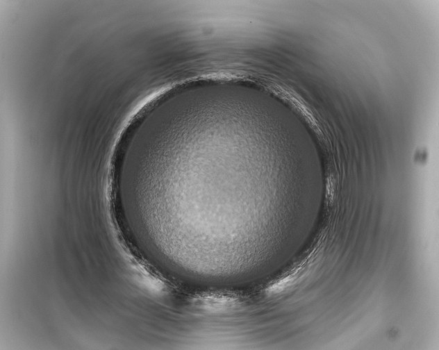 X0000099500724200805221400