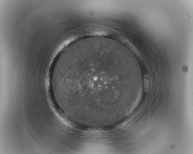 X0000099500726200805221400