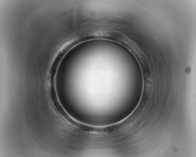X0000099500727200805221400
