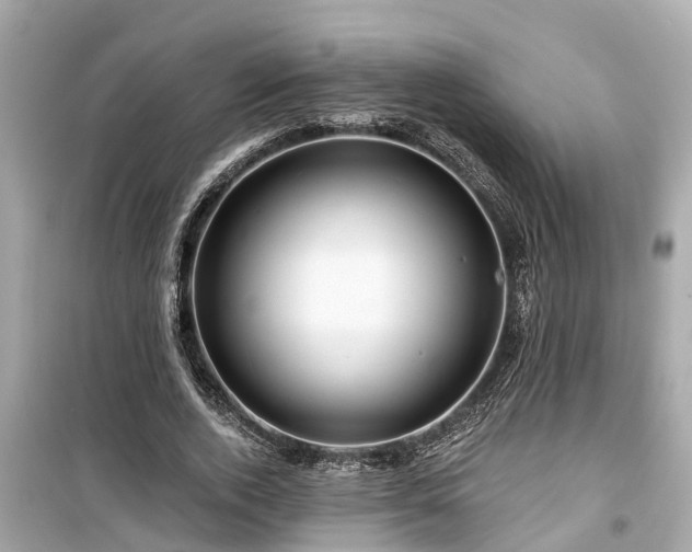 X0000099500728200805221400