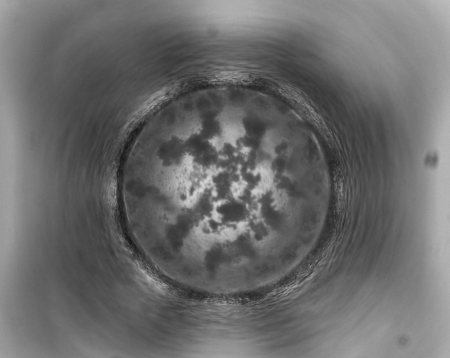 X0000099500729200805221400