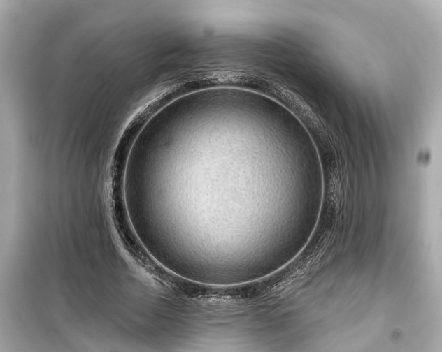 X0000099500730200805221400