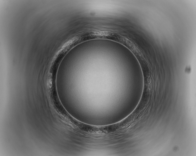 X0000099500731200805221400