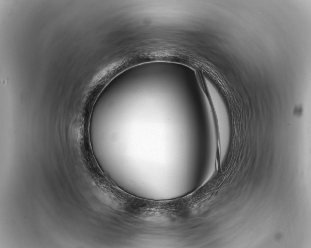 X0000099500732200805221400