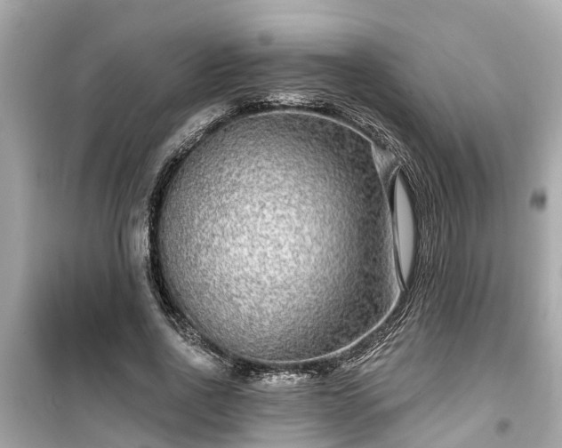 X0000099500734200805221400