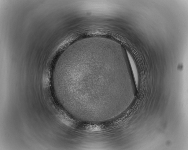 X0000099500735200805221400