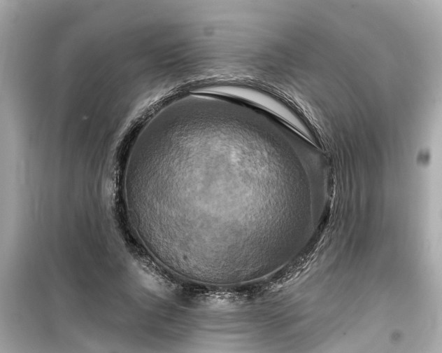 X0000099500736200805221400