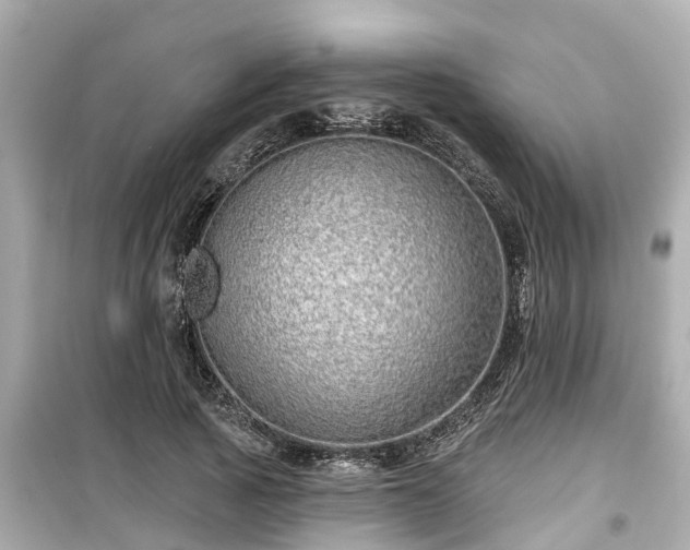 X0000099500737200805221400