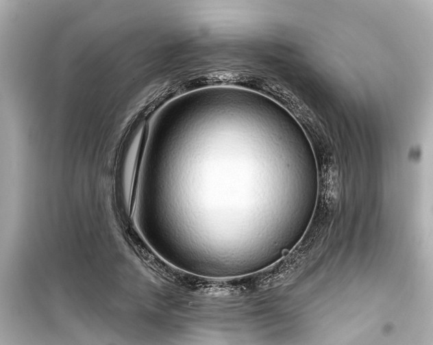 X0000099500738200805221400