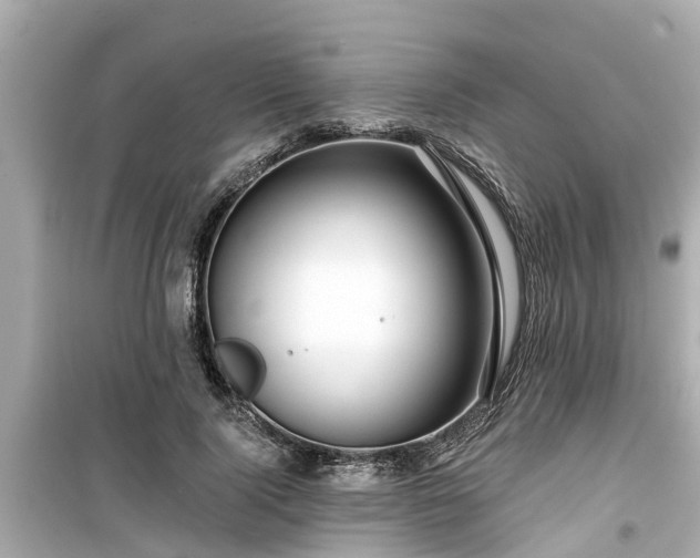 X0000099500740200805221400