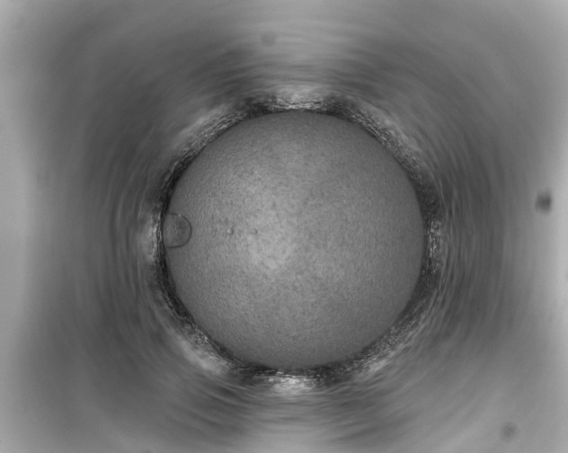 X0000099500741200805221400