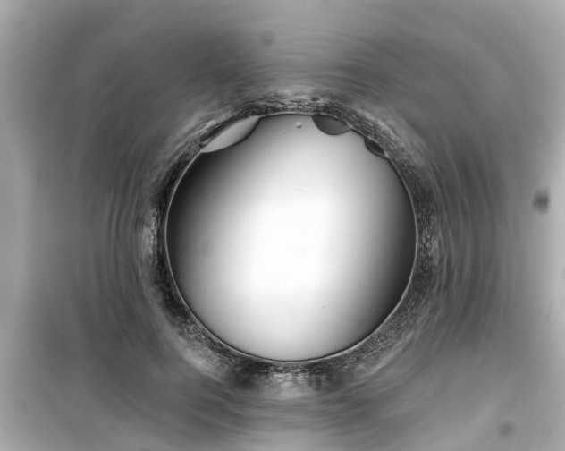 X0000099500744200805221400