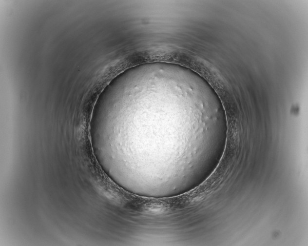 X0000099500745200805221400