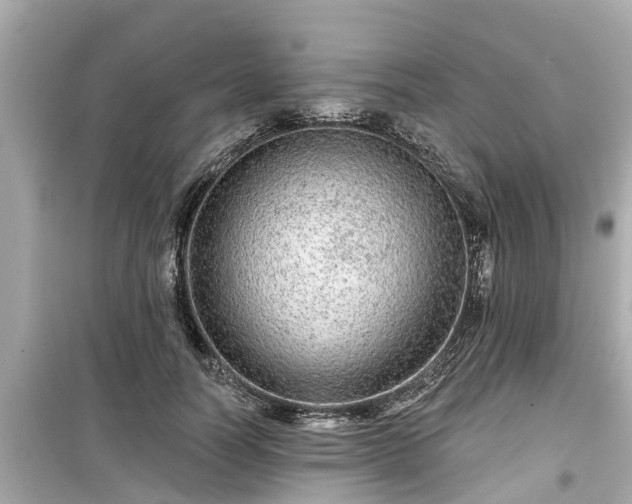 X0000099500746200805221400