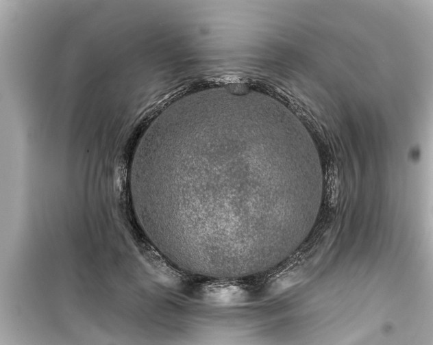X0000099500747200805221400