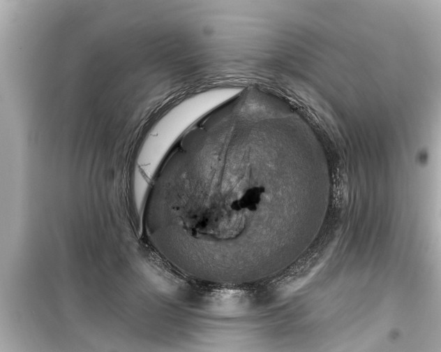 X0000099500748200805221400